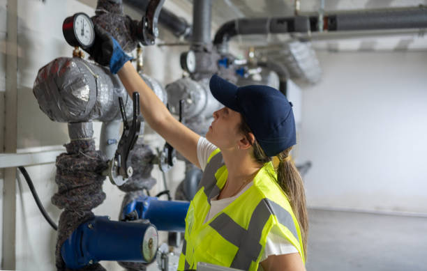Best Clogged Drain Plumber  in Maroa, IL